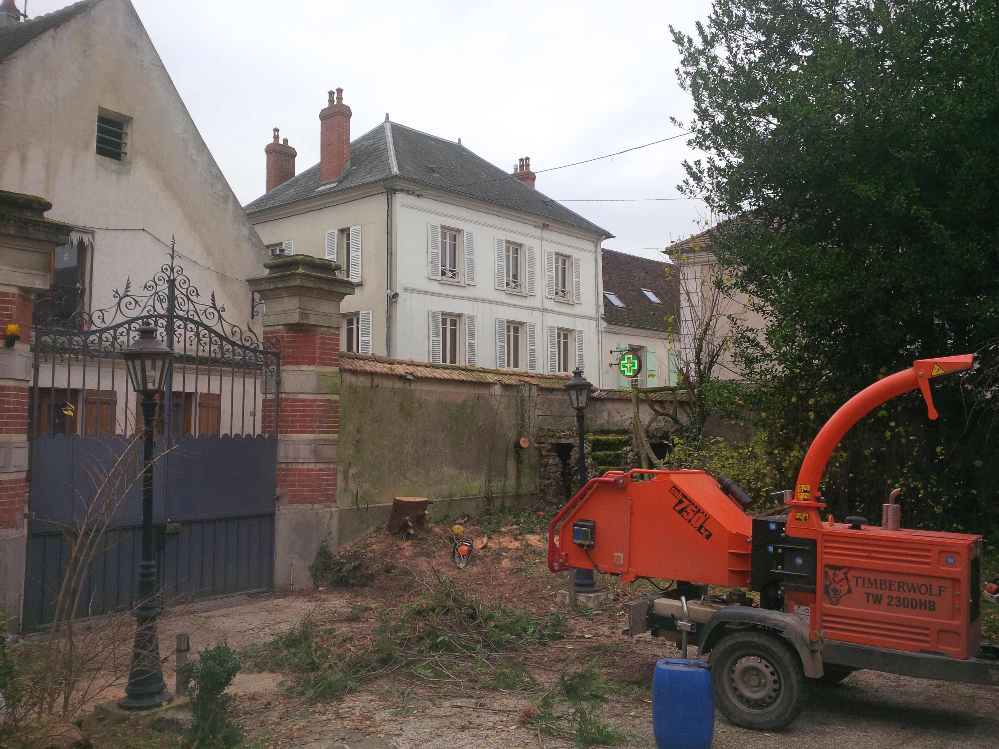 elagage abattage Chezy sur marne 02570